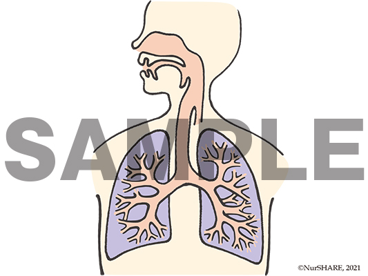 看護教育のための情報サイト Nurshare 教材シェア フリーイラスト 詳細
