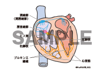 フリーイラスト